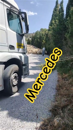 #mercedestruck #truck #trailer #road #transport #LKW #Lastkraftwagen