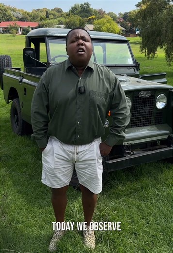 Save the School Desk: A Furniture Safari Exploration