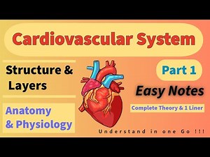 Cardiovascular System || Heart Anatomy, Structure, Layers of Heart ||