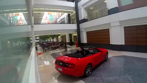 Record du monde du plus grand looping par Ford et Hot Wheels !