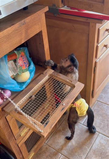 Delicious Salmon Cake Recipe You Can Try Today