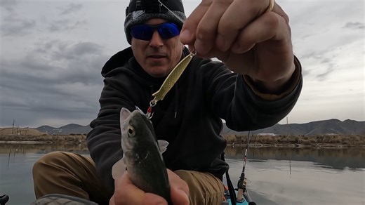 This super duper gold splade catches fish as well!  @hookedbyhurley . . . #fishing #fishinglure #troutfishing #riverfishing #fishingdaily #fishingtime #fishinglife #fishingislife #plusinno #troutfishing | PLUSINNO | Facebook