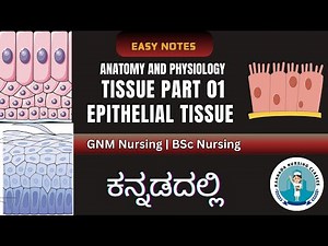 Tissue Part 01 || Epithelial Tissue In Kannada || #anatomy #physiology