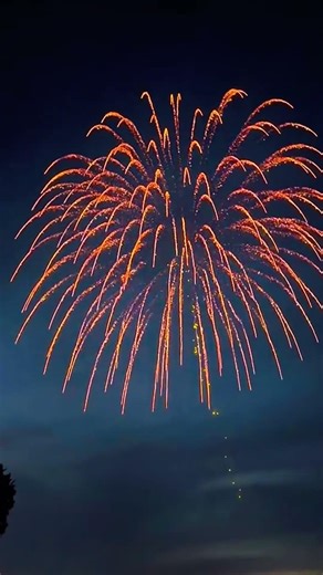 Autumn fireworks bloom in night sky amazing Fireworks Make a Wish Firework Show