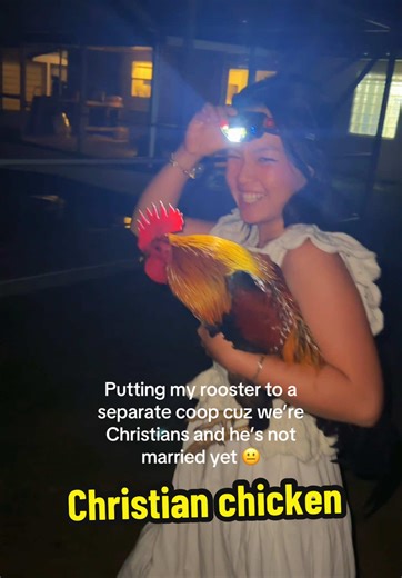 Can someone be their officiant? 👰‍♀️🤵 (Jk we’re temporarily moving him to a more sound proof place at night so he doesn’t wake up the neighbors before 5😭) #chicken #rooster #chickenmom #homestead #gamefowl