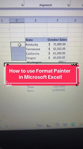 Mastering Format Painter in Microsoft Excel