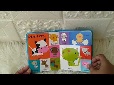 100 Animal Words Board Book