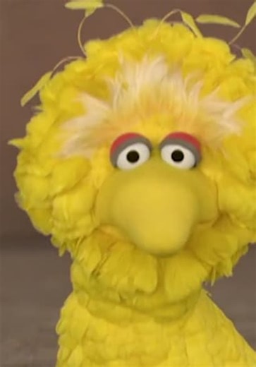 Sesame Street S36:E25 - Adventures of Little Big Bird, Part 1