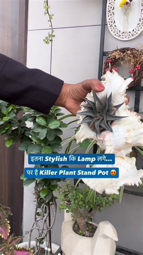 Anish Sinha on Instagram: "Table lamp नहीं समझना ❌ ये है designer plant stand pot 🌿 घर को देता है premium & luxury look @delhidudes . . . . #IndoorGardening #BalconyGarden #HomeStyling #garden"