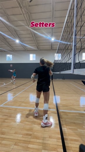 6.9K views · 14 reactions | Dear Setters, Becoming your best as a...