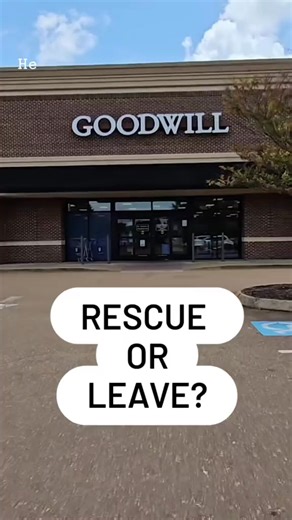 39K views · 917 reactions | #goodwillfinds #goodwillshopping #thriftedfinds #thriftedhomedecor | Goodwill Thrift | Facebook