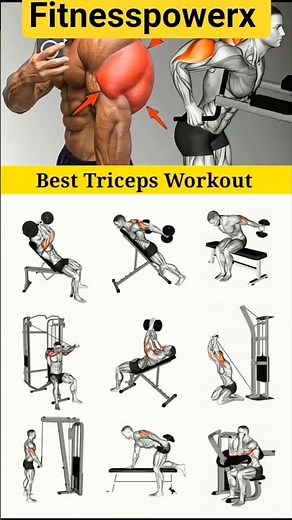 Top Tricep Workout | Bigger & Stronger