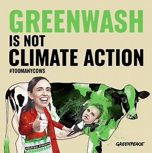 2K views · 123 reactions | Time after time we've seen the Prime Minister talk up New Zealand's climate credentials, but time after time, this Government has given the dairy industry - NZ's biggest climate polluter - a free pass. It's greenwashing, and greenwash is not climate action. You can’t call yourself a climate leader if you don’t have the courage to regulate the biggest polluters. Read more here: https://greenpeace.nz/v1ve8v | Greenpeace Aotearoa | Facebook