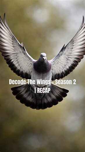 6.1K views · 214 reactions | 諾 Decode The Wings – Season 2 | RECAP...