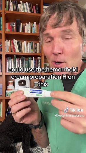 Dog Ear Swelling: Try Preparation H!