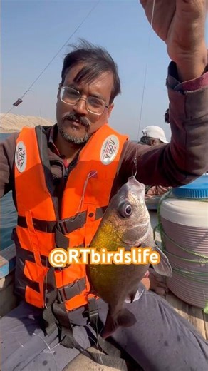 Karachi Fishing | Rehman Goth Fishing Point update #trending #viralvideo #pakistan