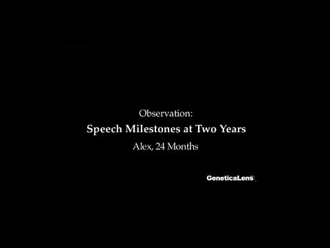Observation: Speech Milestones at 2 years