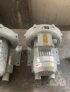 [Hot Item] Side Channel Blower Gas Pump