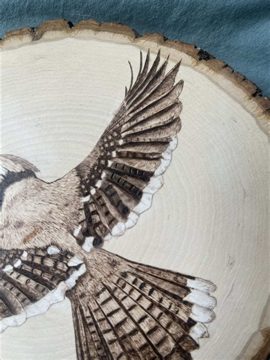 Wildlife Photography and Woodburning Collaboration