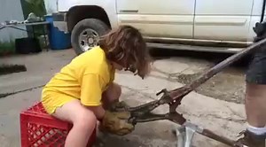 6 year old geode cracking video, complete with camera-attacking gnat! | KeokukGeodes