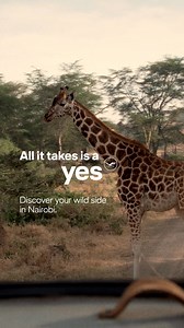 167 reactions | Time out in nature is just a yes away. What will your next journey be? | Lufthansa | Facebook