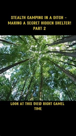 47K views · 554 reactions | Part 2 Stealth Camping in a Ditch - Making a Secret Hidden Shelter! #foryou #camping #campinglife #survival #fyp #outdoors | WildBeare | Facebook