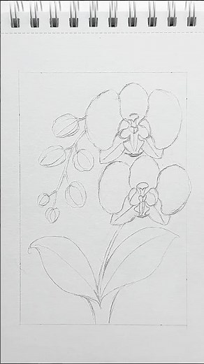 Watch These Orchids Come to Life | Botanical Drawing Tutorial