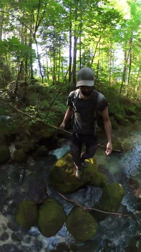 Exploring Mountains, Rivers and a crystal clear lake in the heart of austria. #Shorts