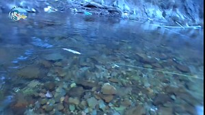 ODS Fishing Lure Lifelike Loach Bait Multi Jointed Swimbait with Fishing Hooks for Freshwater Saltwater