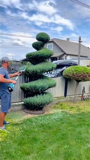 Art of Precision Topiary Trimming, Unique Shape Crafted Neatly with Pro Techniques that impress