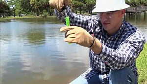 Watch How to Get Job Training on Amazon Live