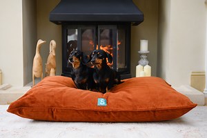 17 dog beds that are cosy and stylish