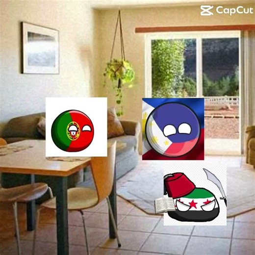 POV: your struggling in your math homework #countryballs