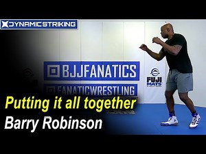 Putting It Together Combined Shadowboxing by Barry Robinson