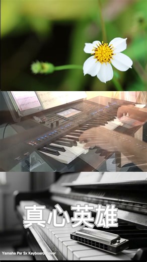 《真心英雄》｜Harmonica × Accordion｜无歌词·温暖旁白版｜Yean Shin Keyboard Orchestra