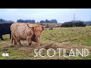 Glasgow | Amazing Countryside morning walk | Scottish Countryside [4K UHD]