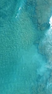 26 reactions · 6 comments | Daily Declarations: Stop The Blood #joanhunter⁠ #dailydeclarations⁠ #declarationswithjoan | Joan Hunter | Facebook