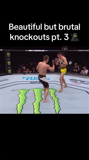 The art of combat ⚔️ #ufc #knockout #mma #fyp #fypシ #foryou