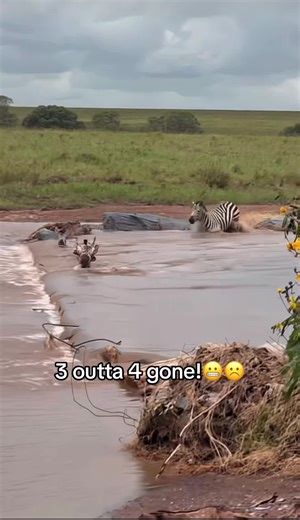 Shocking Water Disappearance: What's Happening? 💧