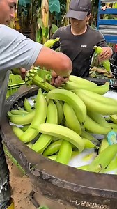 Lavado clasificación y empacado de el plátano | Esneider Villegas Blanco