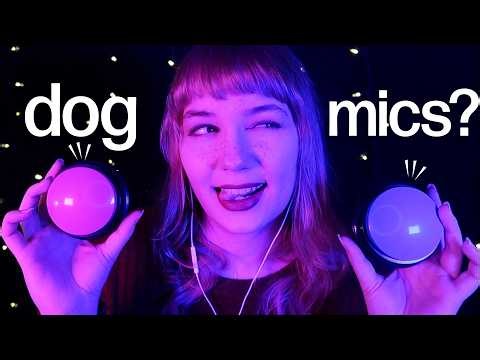 okay I think I may be onto something here... using voice record dog training buttons for ASMR