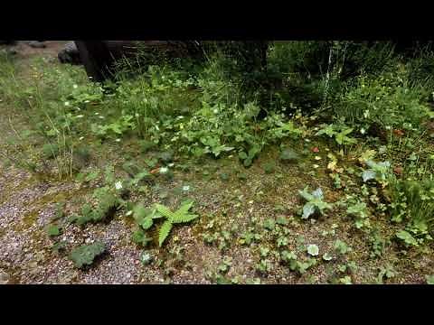 New 1 5GB 4K HD Texture Pack for The Elder Scrolls V Skyrim overhauls all of the landscape textures