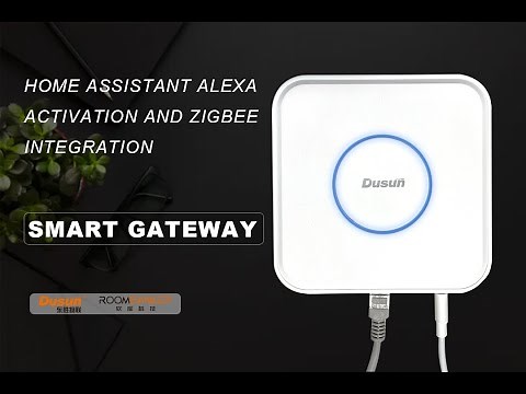 DSGW-210-HA Gateway Home Assistant Alexa activation and ZigBee Integration
