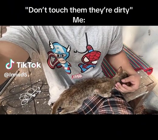 Understanding Cat Behavior: Hand Biting Explained