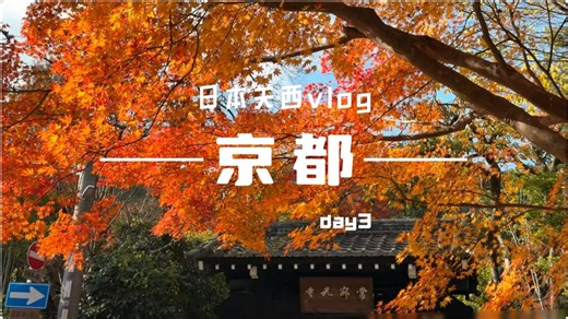 🇯🇵✈️solo trip｜关西九日游day3｜京都｜赏枫叶 逛kiddyland chiikawa 岚山 列车 二次元 云逛街 无人声