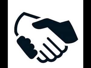How to get the partner discord bot