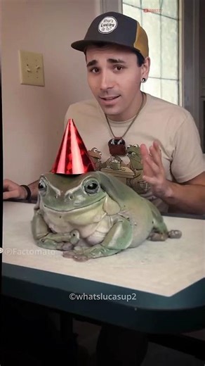 frog viral video 🤣 #funny #funnyvideo