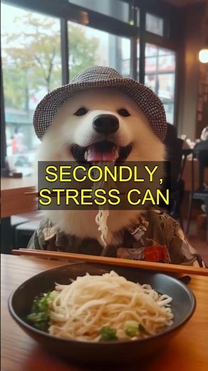 Why Dogs Eat Poop: Shocking Reasons & What You Can Do!