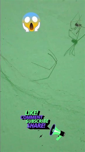 scary #alisoomromusic #trending #4kvideo #viral #viralvideo #viralshorts #horror #border2#song