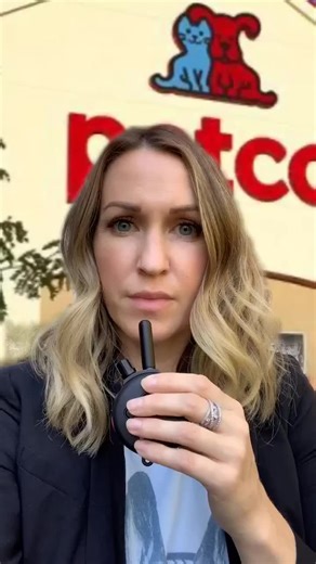 E-Collar Training: A Controversial Perspective